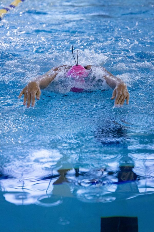 Junior, Ava Edwards, swimming butterfly at the Regionals Swim competition.