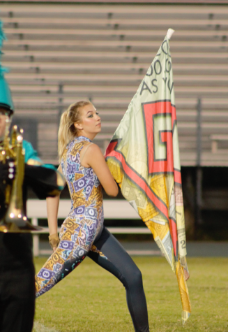 color guard flourish｜TikTok Search