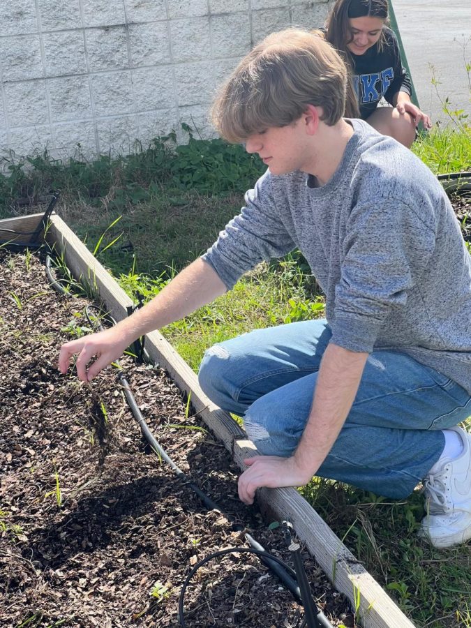 Junior Tristan Marti working in the garden.