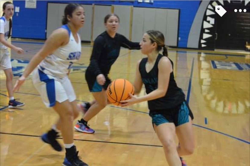 Freshman Gianna Fotopolous on the ball about to shoot a basket. 