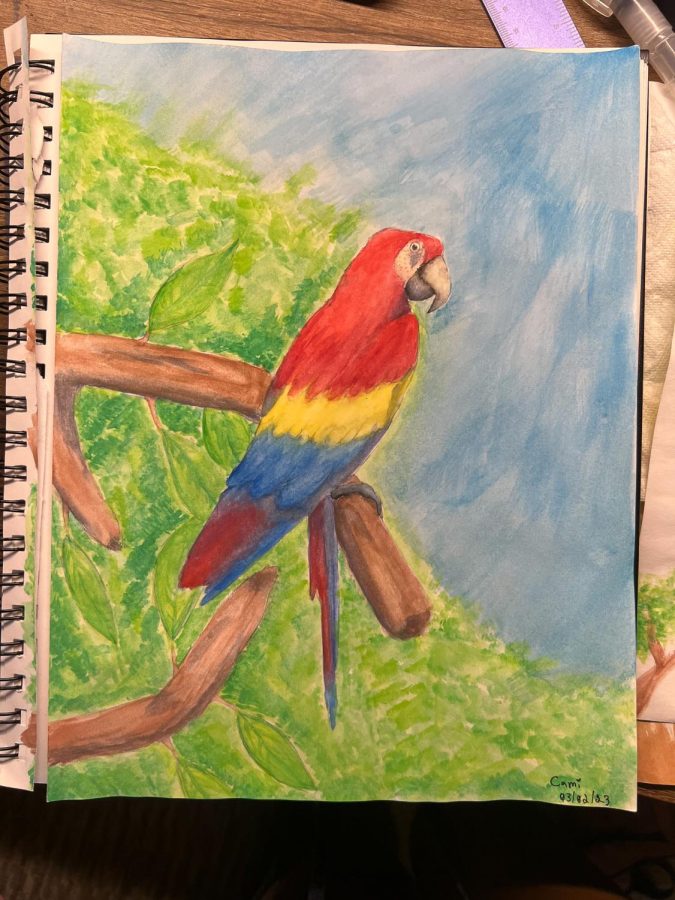 The Scarlet Macaw Camila painted for her dad.