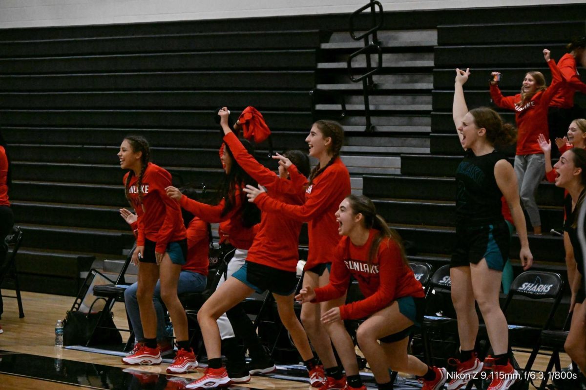 The Sunlake High School girls basketball team cheering after a made shot at their preseason tournament at Nature Coast High School.