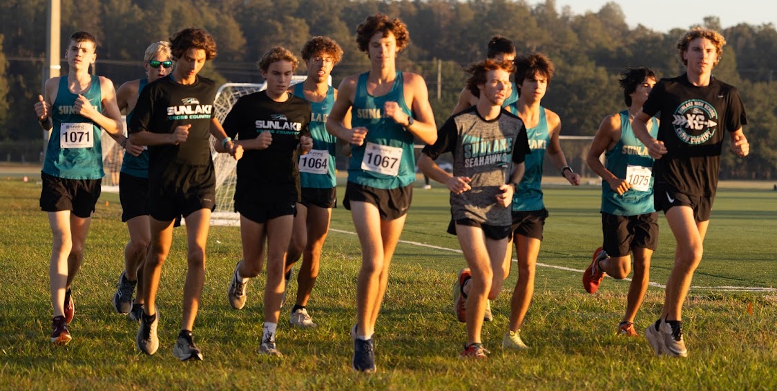 Boys Cross Country: The Season in Review
