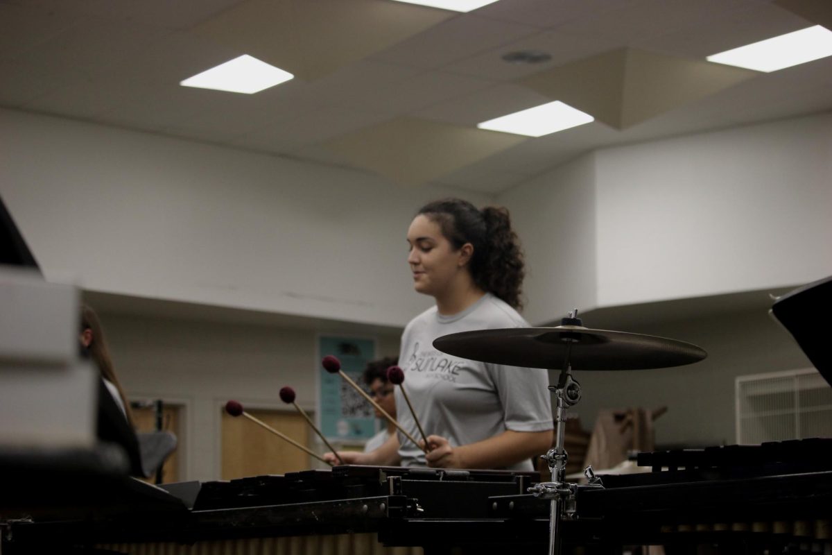 Senior Ana Paula Da Silva at band practice playing through her warm-up on marimba.