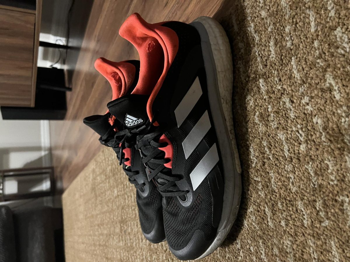 Gavin's Running Shoes 