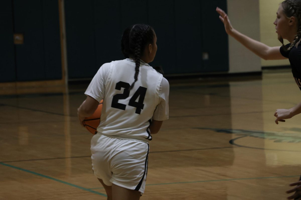 Sophomore Dawn Figueroa playing a basketball game against Zephyrhills.