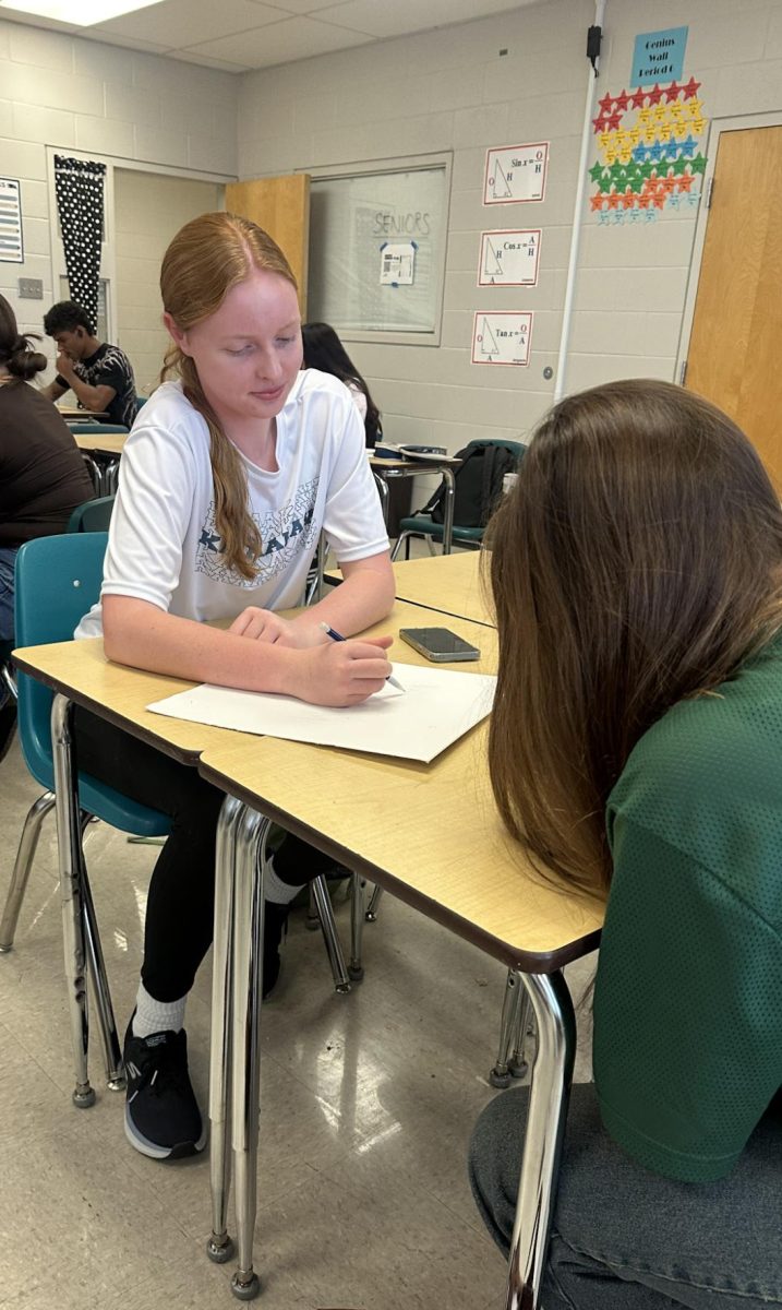 Junior Cailyn Barnes working on her science poster.