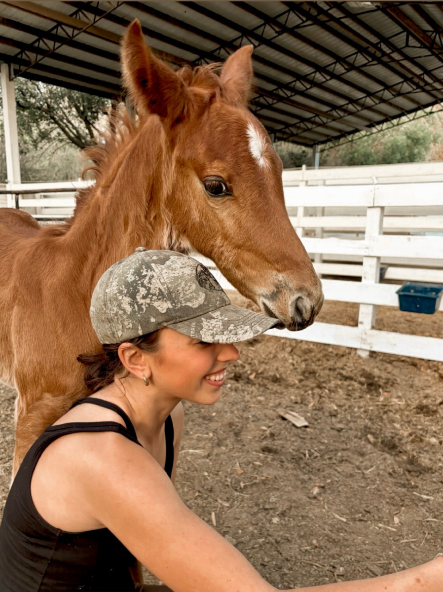 Senior Anna Seidelman spends some quiet  time with the baby horse, sharing a sweet moment together.